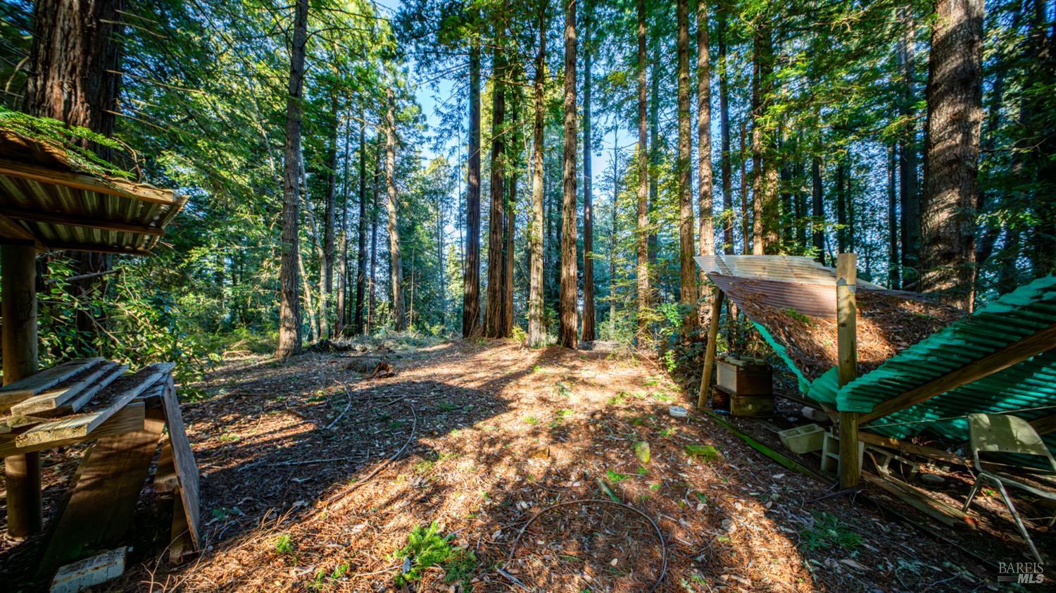 17470 Willow Creek Road Occidental, CA 95465 - Photo 18 of 29