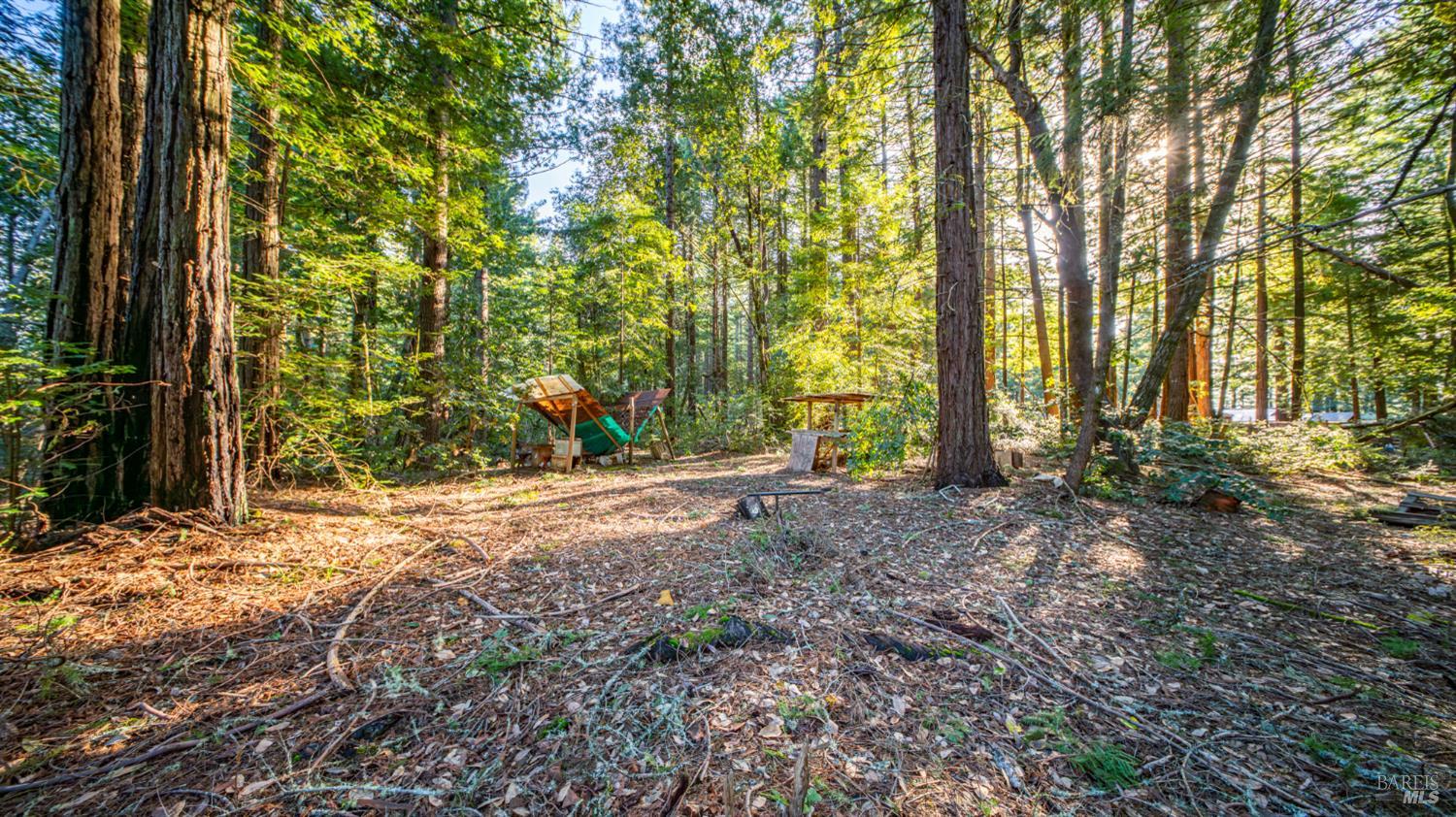 17470 Willow Creek Road Occidental, CA 95465 - Photo 20 of 29