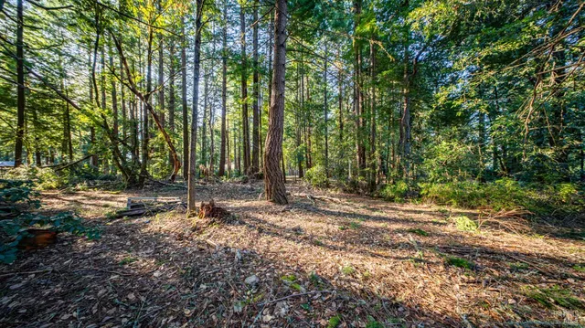 $450,000 | 17470 Willow Creek Road, Occidental, CA 95465