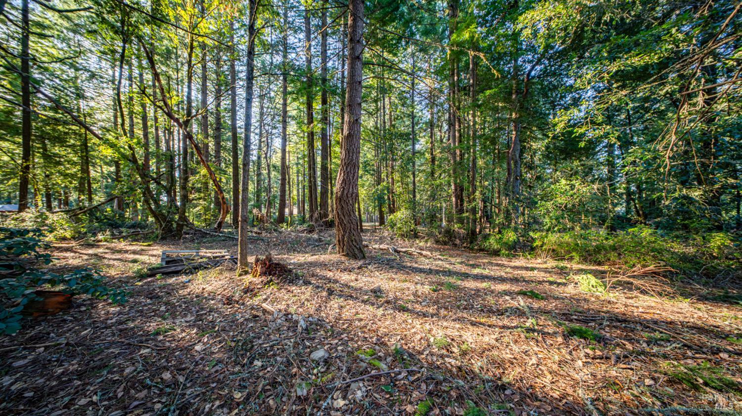 17470 Willow Creek Road Occidental, CA 95465 - Photo 21 of 29