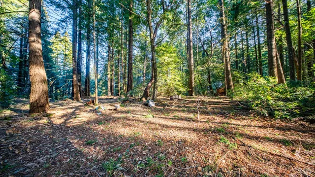 $450,000 | 17470 Willow Creek Road, Occidental, CA 95465