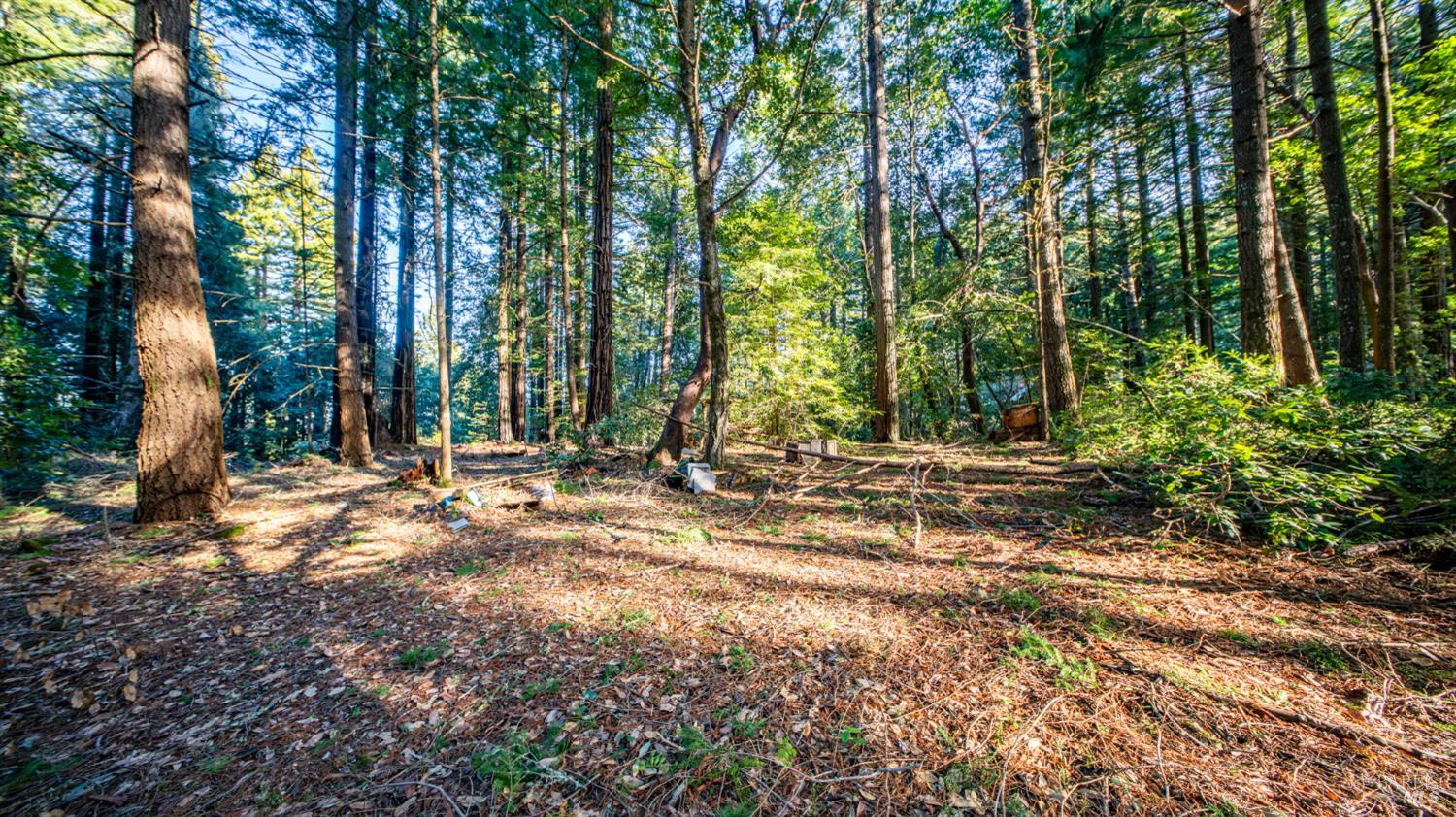 17470 Willow Creek Road Occidental, CA 95465 - Photo 22 of 29