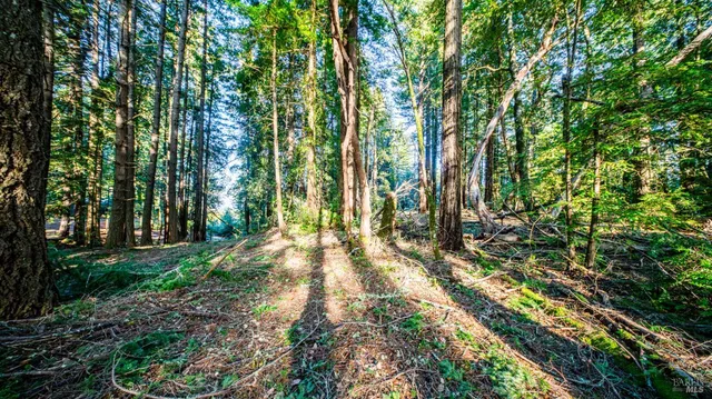 $450,000 | 17470 Willow Creek Road, Occidental, CA 95465