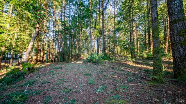 $450,000 | 17470 Willow Creek Road, Occidental, CA 95465