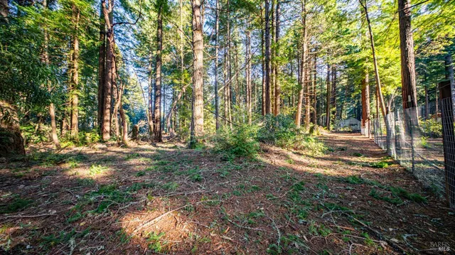 $450,000 | 17470 Willow Creek Road, Occidental, CA 95465