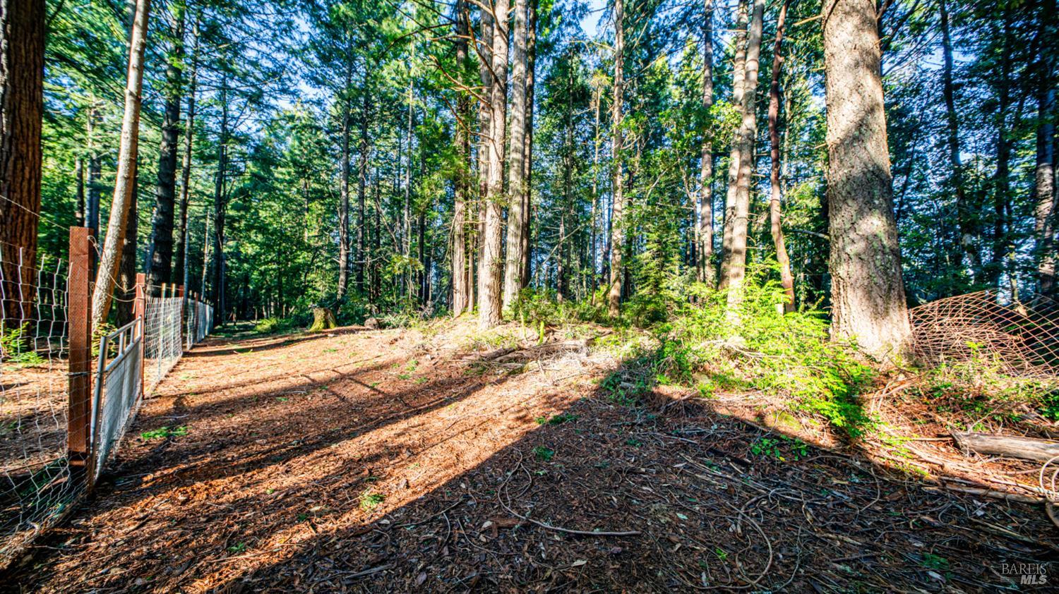 17470 Willow Creek Road Occidental, CA 95465 - Photo 27 of 29