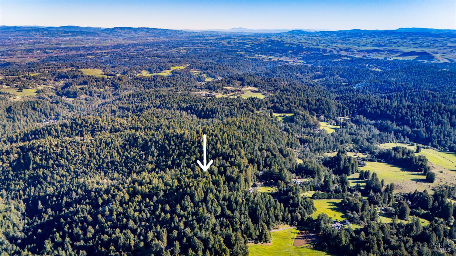 17470 Willow Creek Road Occidental, CA 95465 - Photo 3 of 29