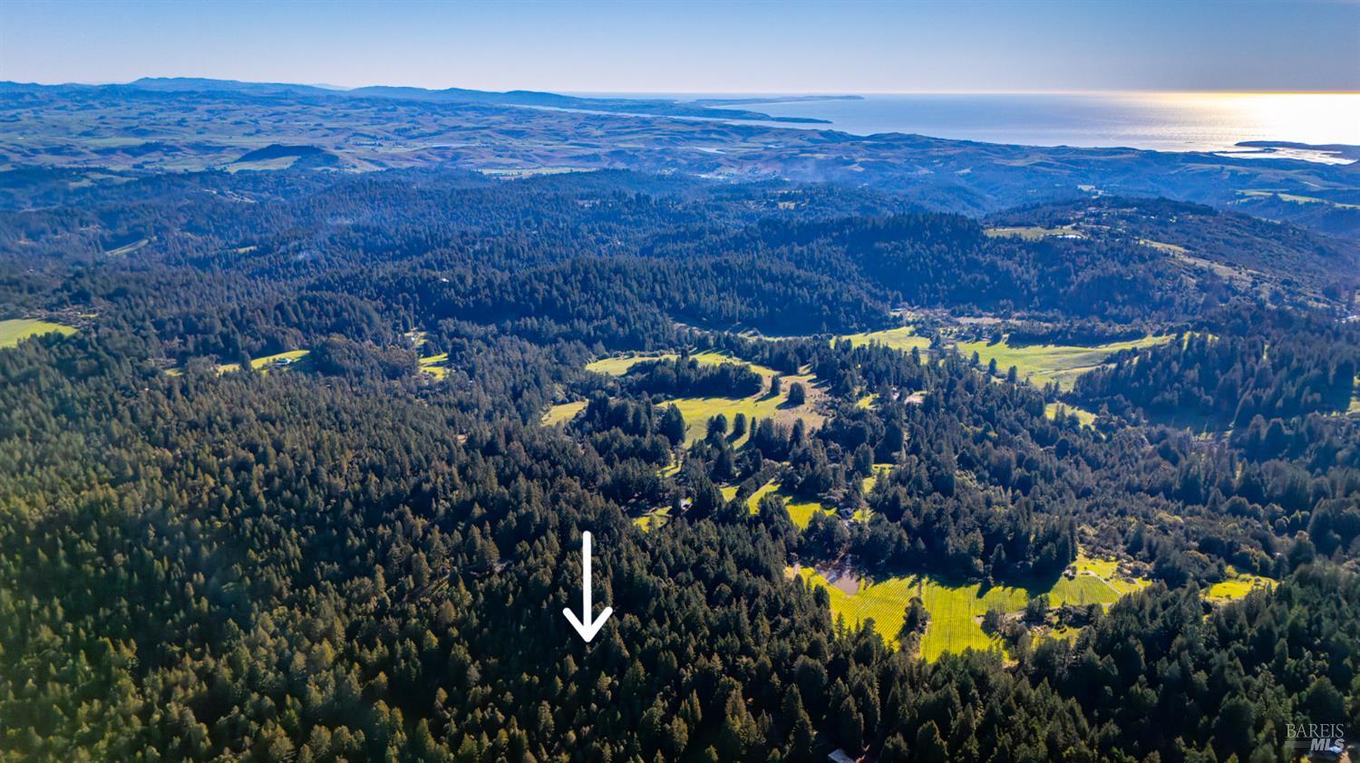 17470 Willow Creek Road Occidental, CA 95465 - Photo 5 of 29