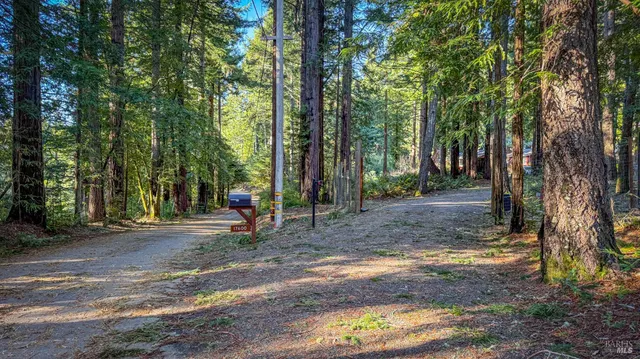 $450,000 | 17470 Willow Creek Road, Occidental, CA 95465