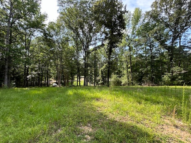 5779 West Homochitto Road Crosby, MS 39633 - Photo 11 of 19 Photo 11