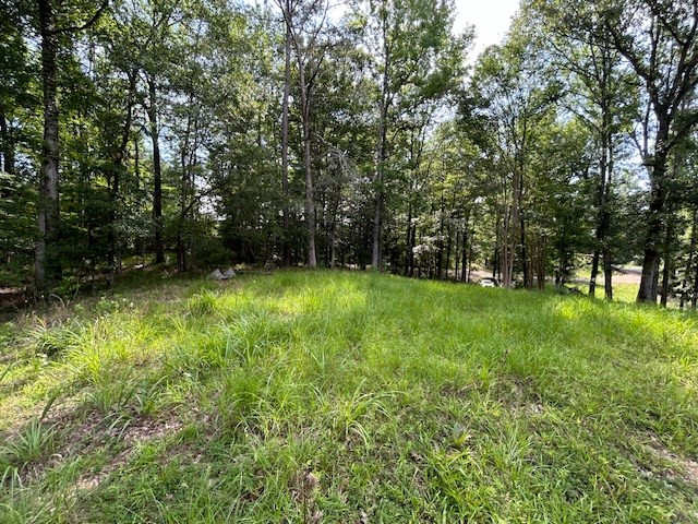 5779 West Homochitto Road Crosby, MS 39633 - Photo 12 of 19 Photo 12