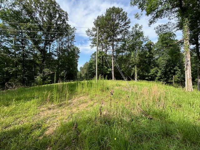 5779 West Homochitto Road Crosby, MS 39633 - Photo 13 of 19 Photo 13