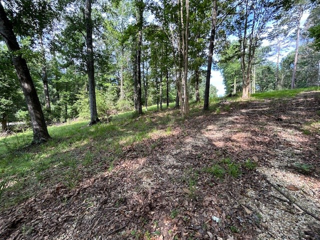 5779 West Homochitto Road Crosby, MS 39633 - Photo 14 of 19 Photo 14