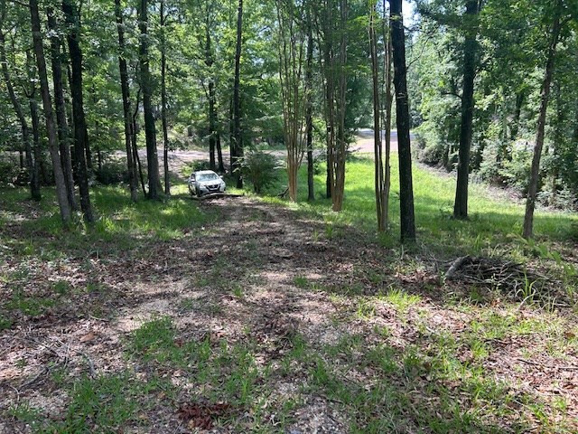 5779 West Homochitto Road Crosby, MS 39633 - Photo 2 of 19 Photo 2
