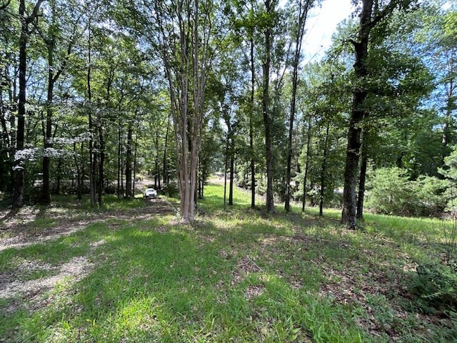 5779 West Homochitto Road Crosby, MS 39633 - Photo 3 of 19 Photo 3