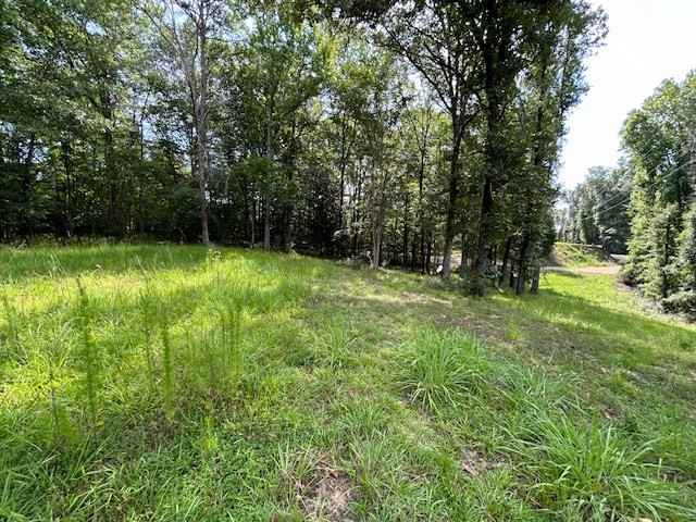 5779 West Homochitto Road Crosby, MS 39633 - Photo 4 of 19 Photo 4