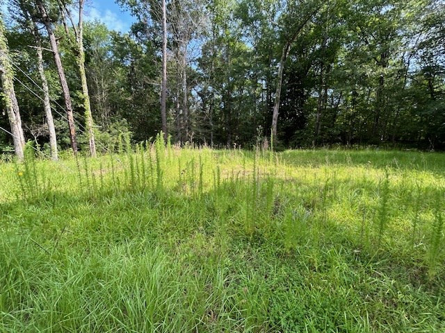 5779 West Homochitto Road Crosby, MS 39633 - Photo 5 of 19 Photo 5