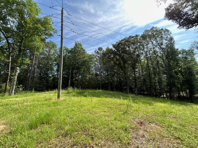 5779 West Homochitto Road Crosby, MS 39633 - Photo 8 of 19 Photo 8