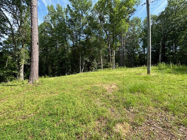 5779 West Homochitto Road Crosby, MS 39633 - Photo 9 of 19 Photo 9