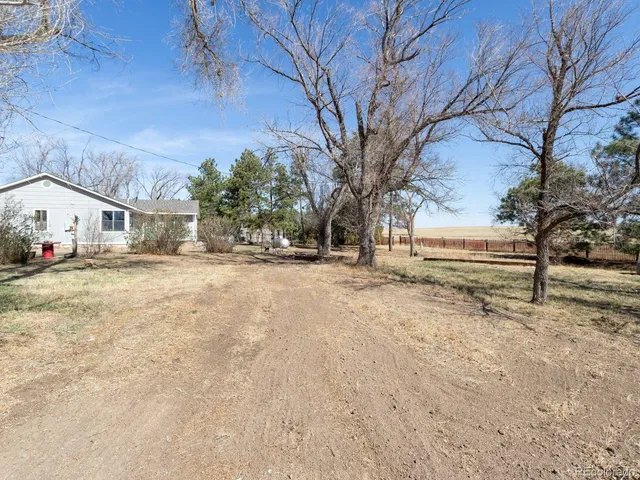 a view of road with large trees
