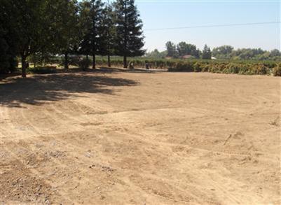 42152 Road 42 Reedley, CA 93654 - Photo 16 of 22 Gallery Image 16