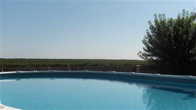 42152 Road 42 Reedley, CA 93654 - Photo 17 of 22 Gallery Image 17