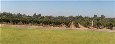 42152 Road 42 Reedley, CA 93654 - Photo 20 of 22 Gallery Image 20
