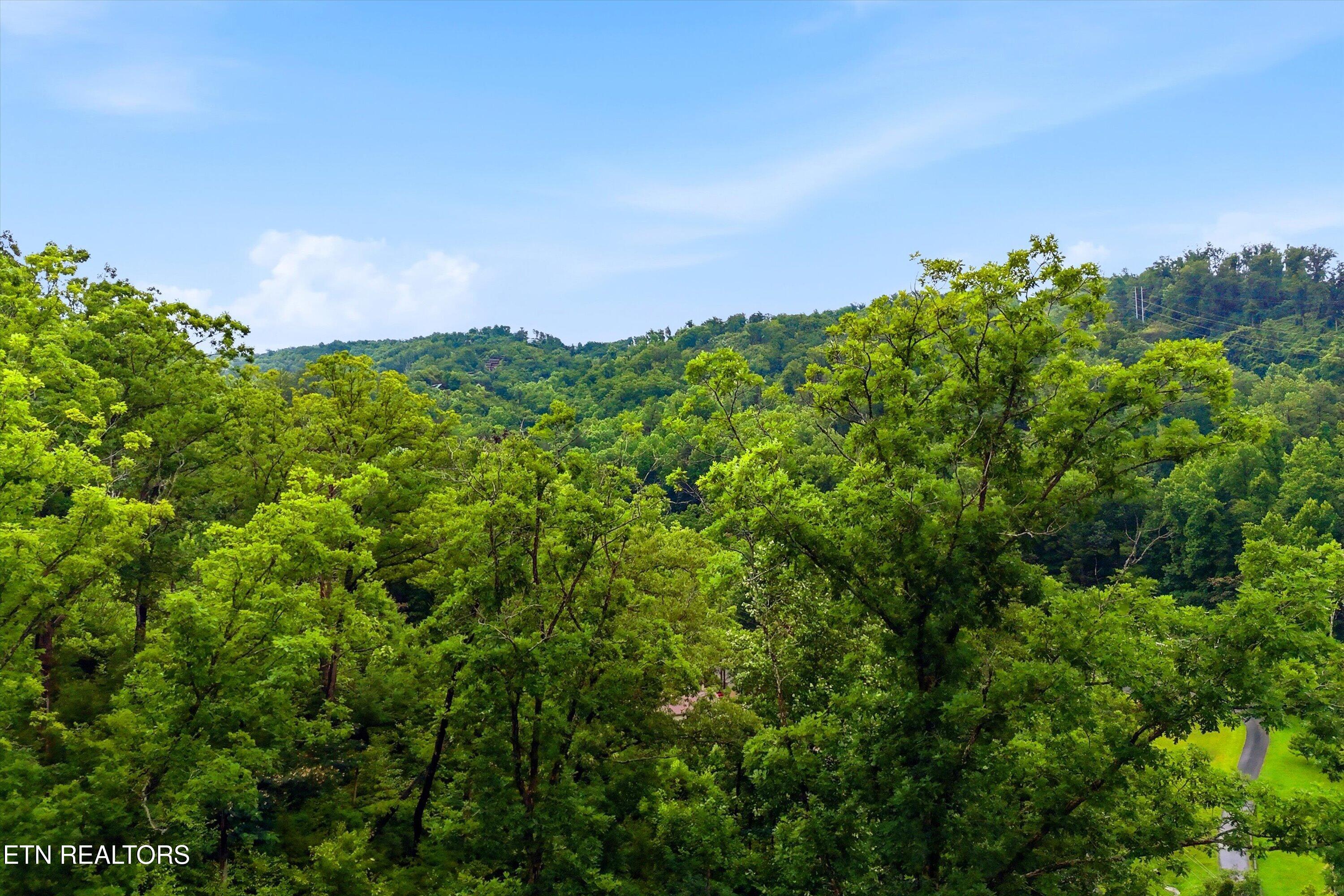 127 Beech Branch Road Gatlinburg, TN 37738 - Photo 8 of 18 15-FINAL-15