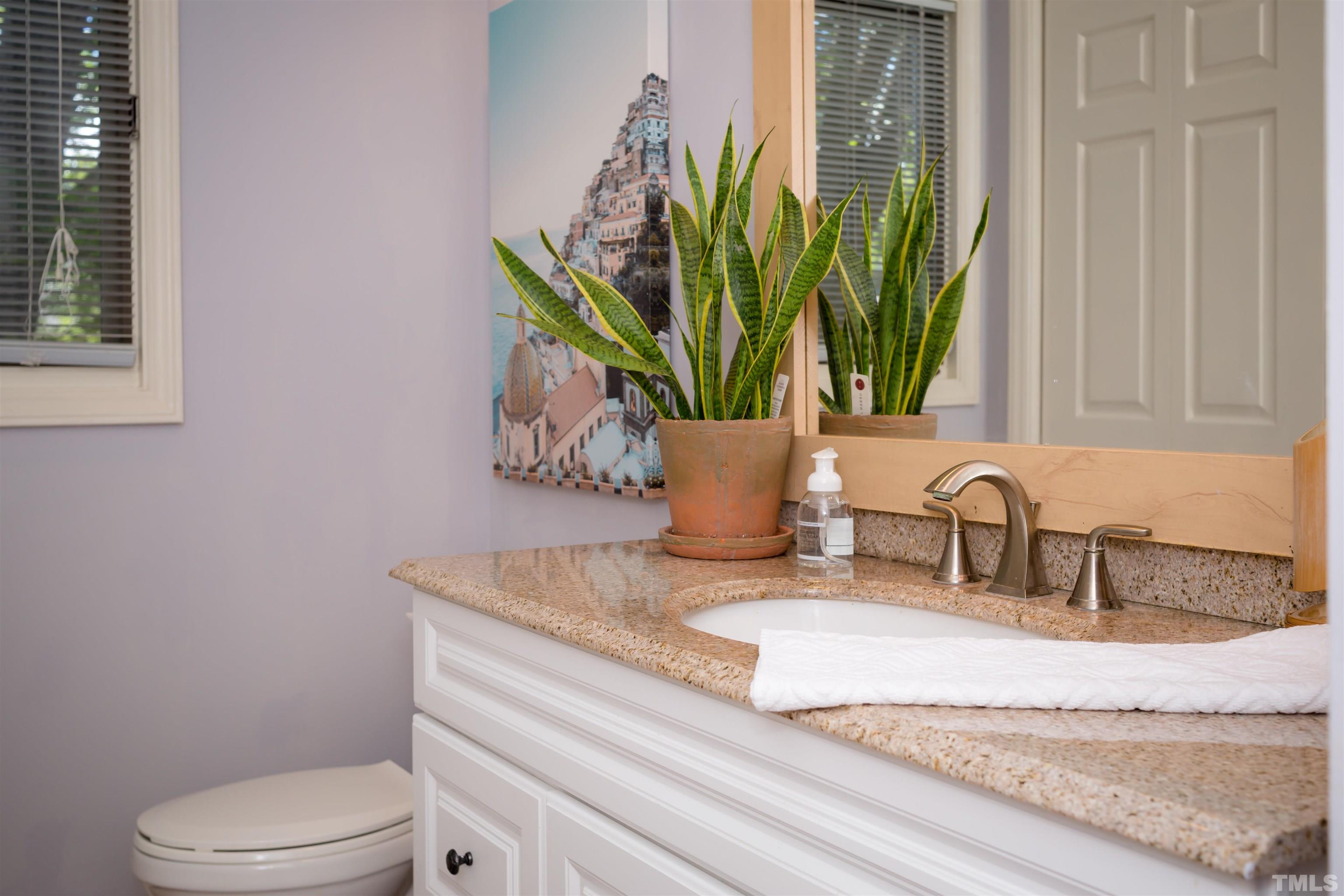 4326 Beechnut Lane Durham, NC 27707 - Photo 10 of 26 a bathroom with a granite countertop toilet a sink and a window