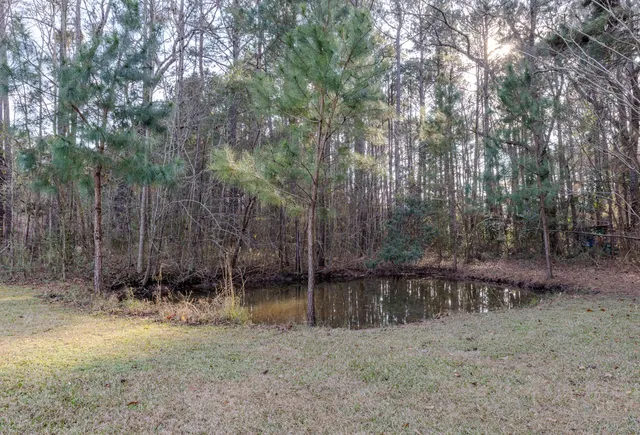 $425,000 | 1237 Bethera Road, Bonneau, SC 29431