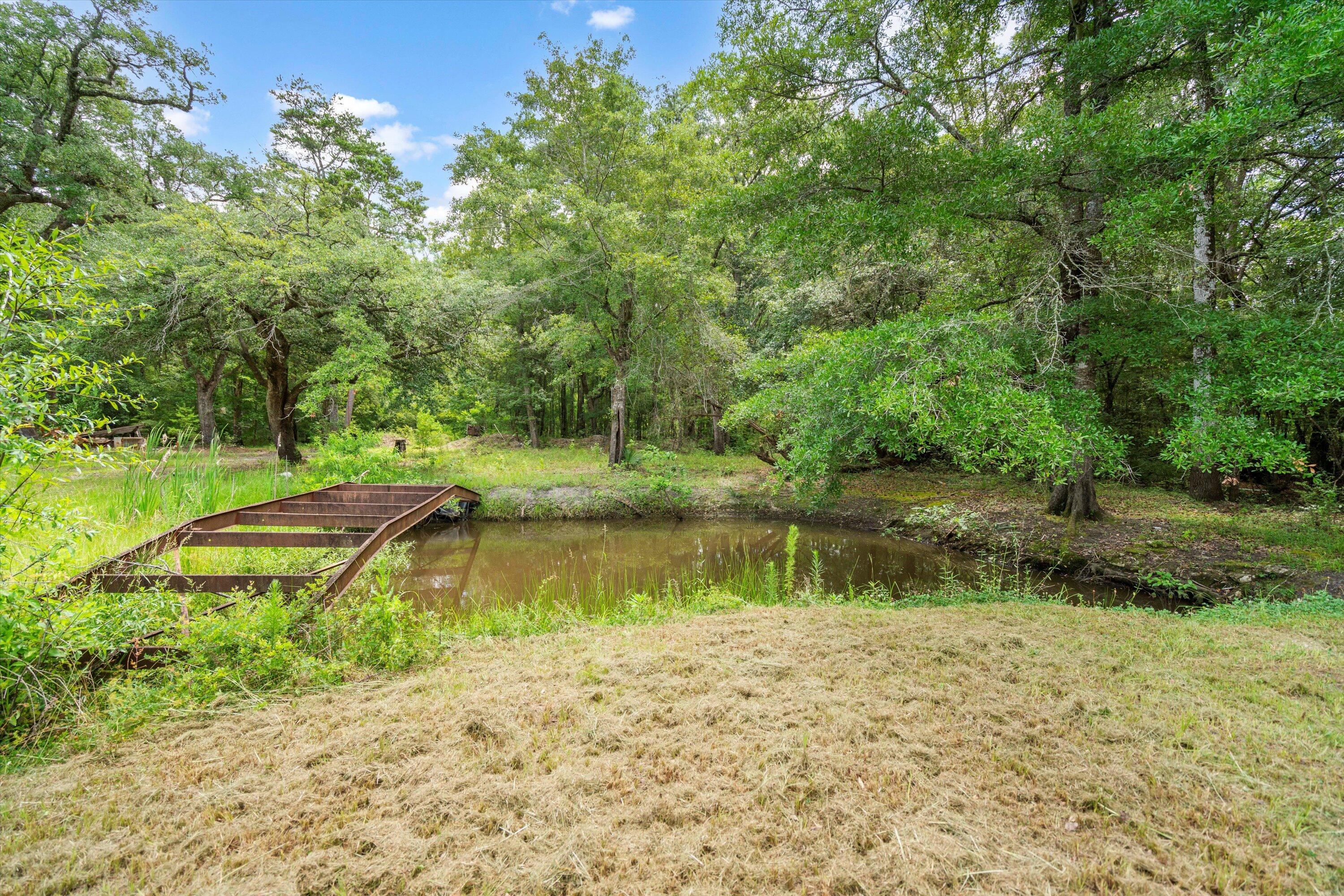 161 River Birch Ridgeville, SC 29472 - Photo 30 of 43 31-SNY09828