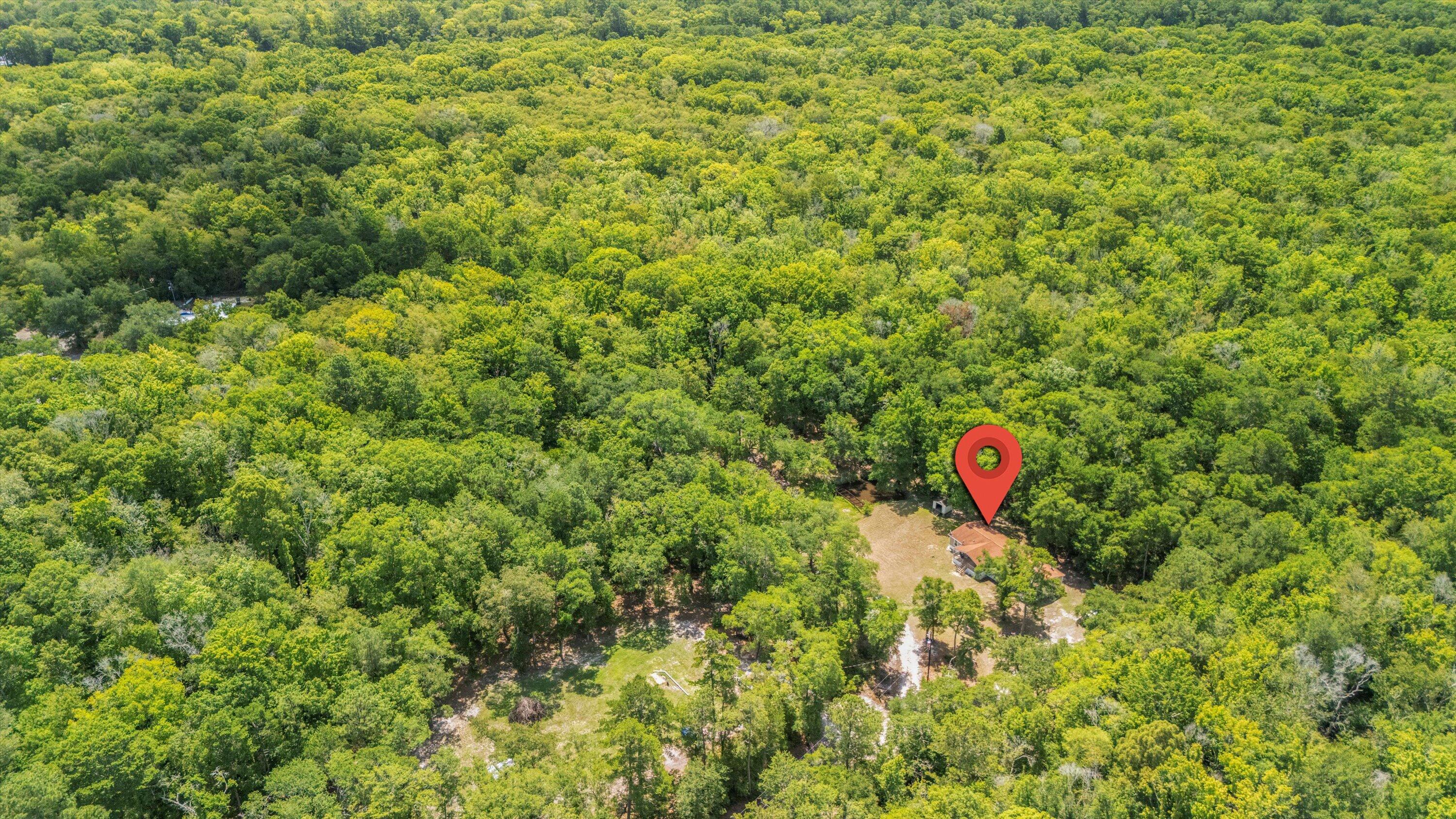 161 River Birch Ridgeville, SC 29472 - Photo 33 of 43 34-DJI_20250702113325_0004_D-pin