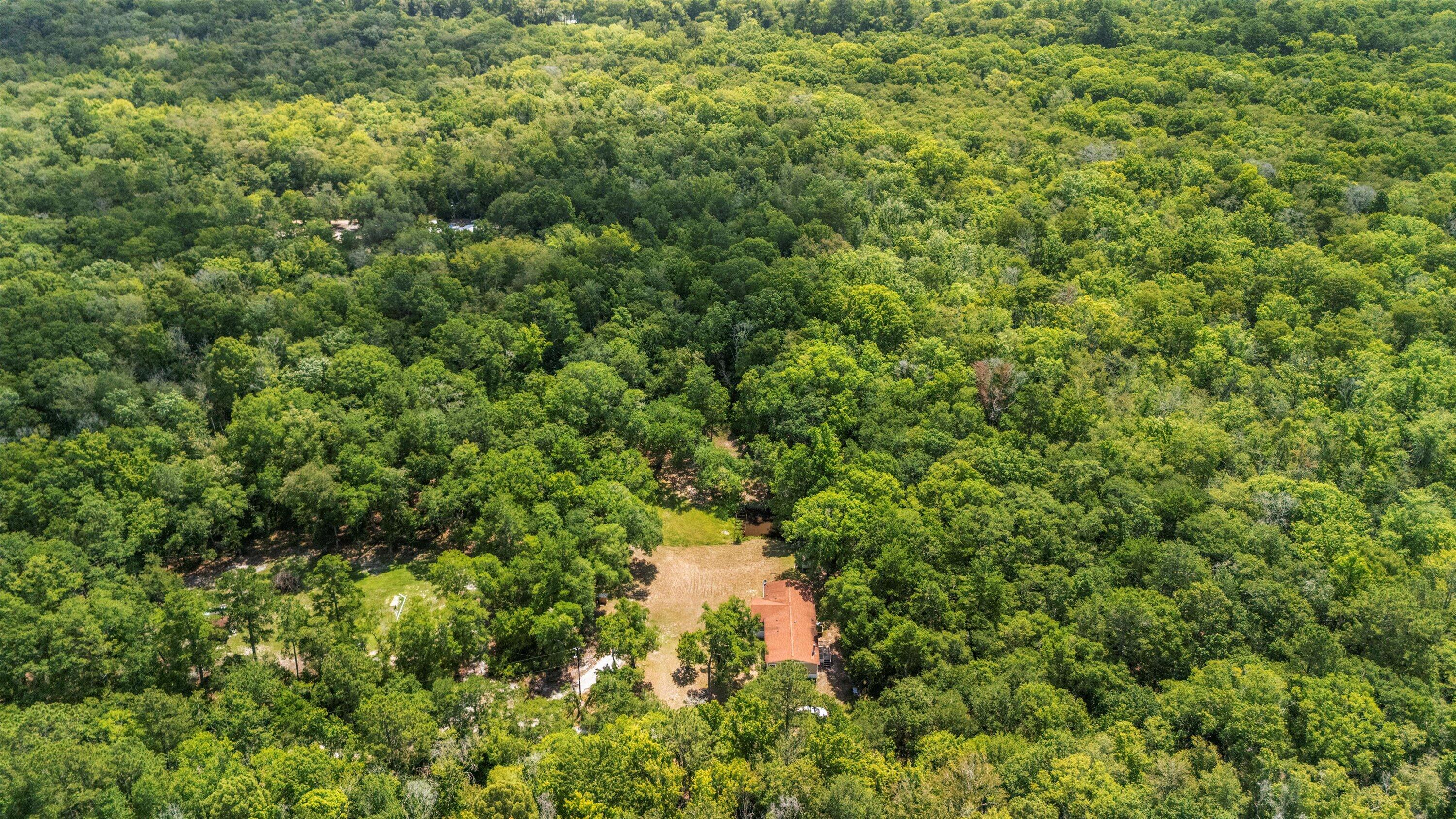 161 River Birch Ridgeville, SC 29472 - Photo 36 of 43 37-DJI_20250702113311_0001_D