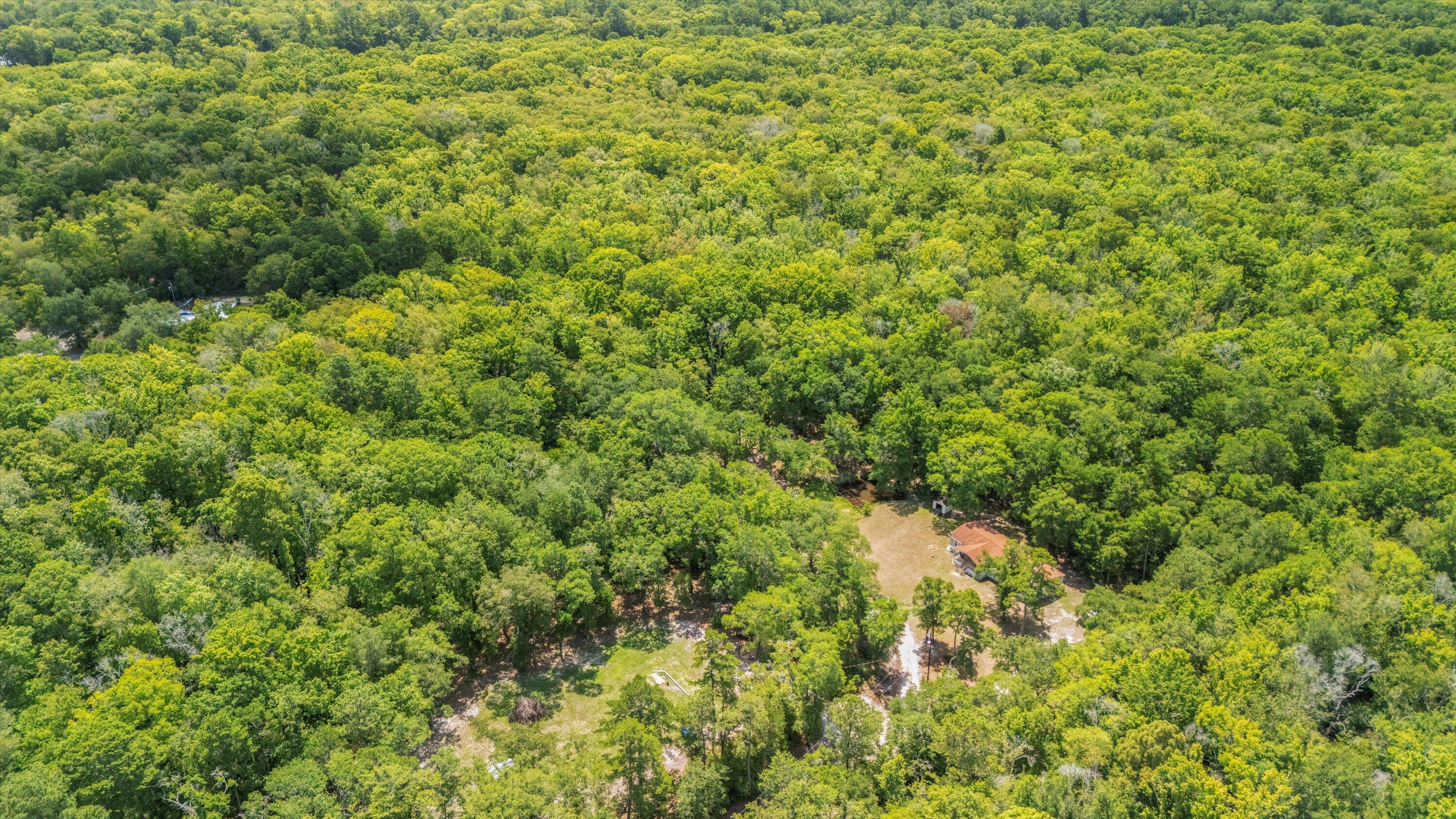 161 River Birch Ridgeville, SC 29472 - Photo 39 of 43 40-DJI_20250702113325_0004_D