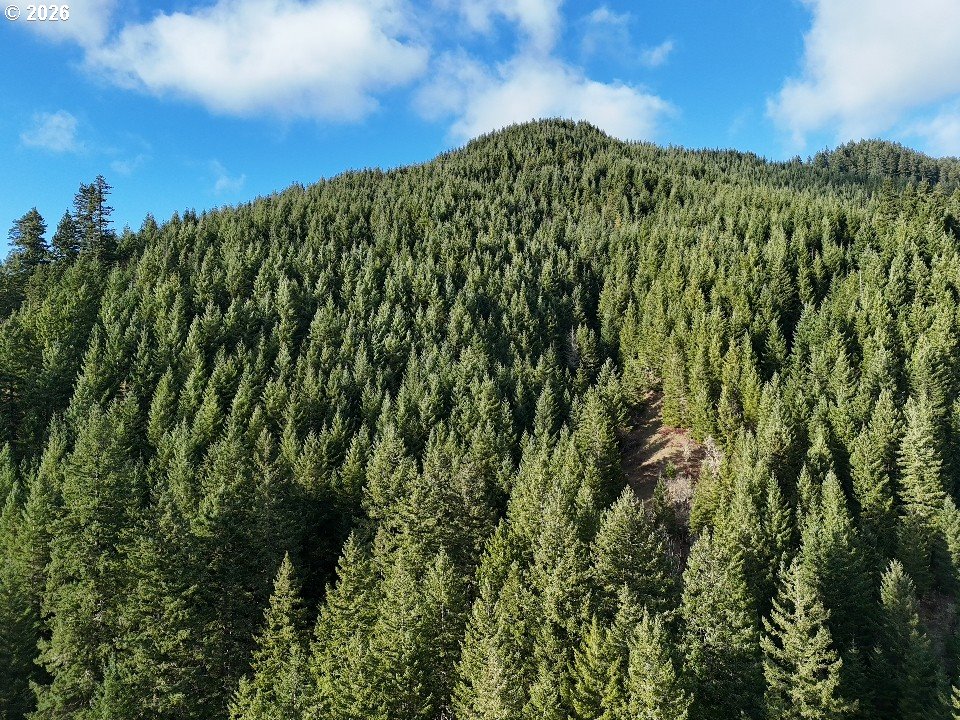 1951 Bear Creek Road Carson, WA 98610 - Photo 1 of 30