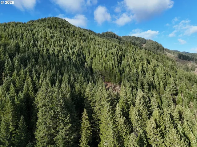 $149,000 | 1951 Bear Creek Road, Carson, WA 98610