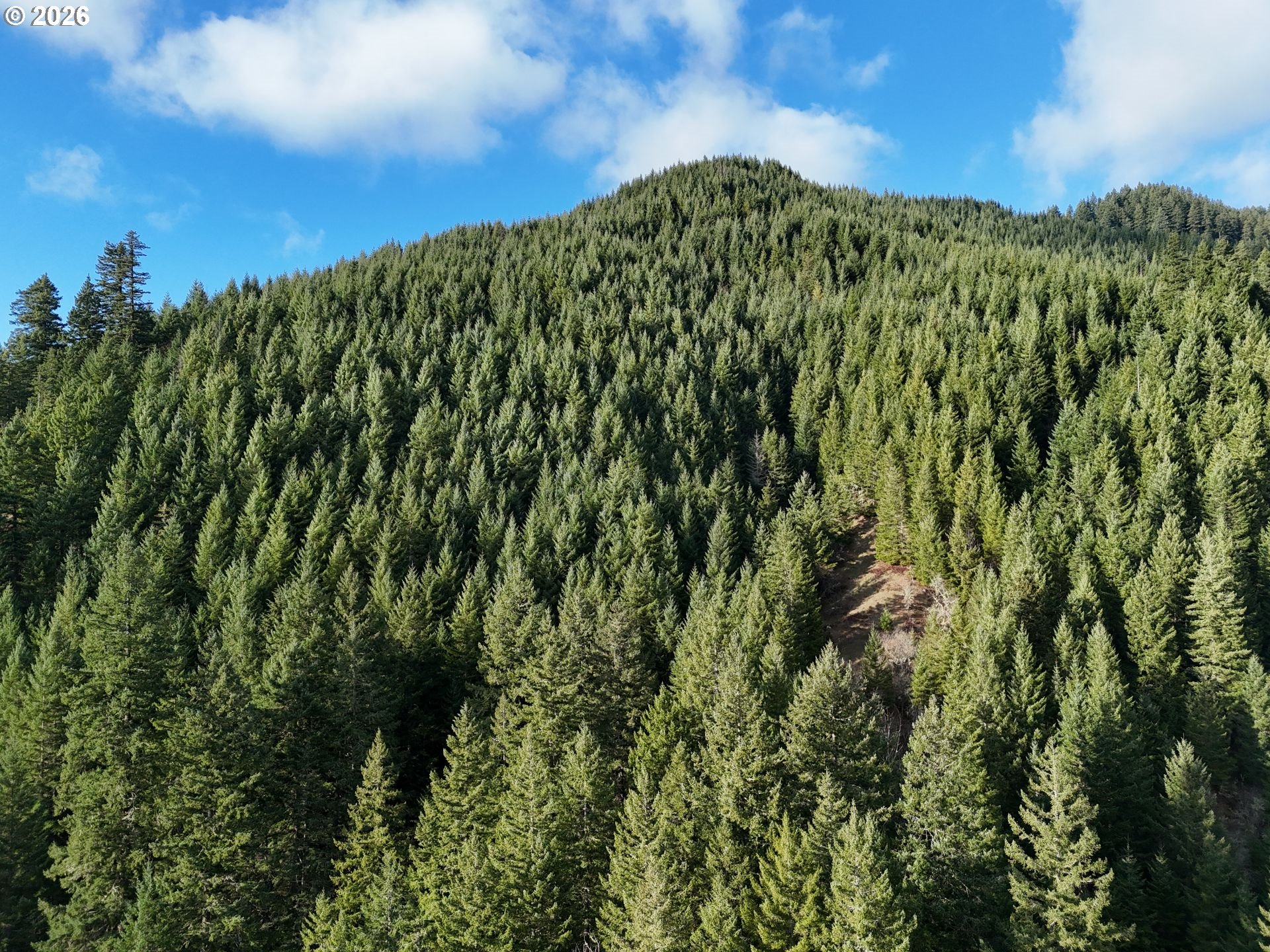 1951 Bear Creek Road Carson, WA 98610 - Photo 12 of 30