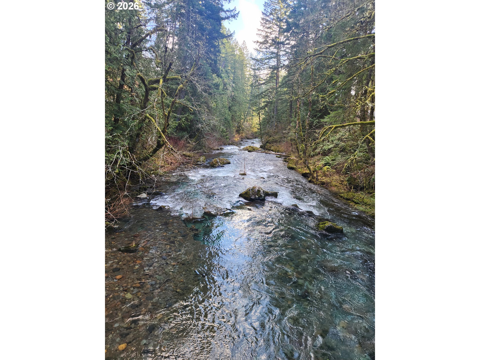 1951 Bear Creek Road Carson, WA 98610 - Photo 14 of 30