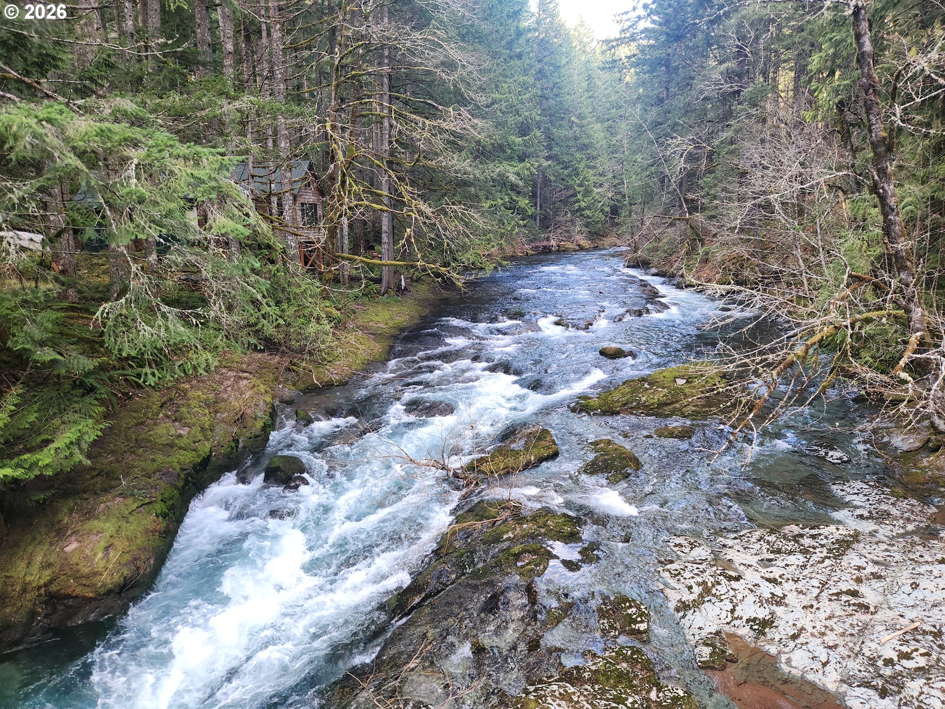 1951 Bear Creek Road Carson, WA 98610 - Photo 15 of 30