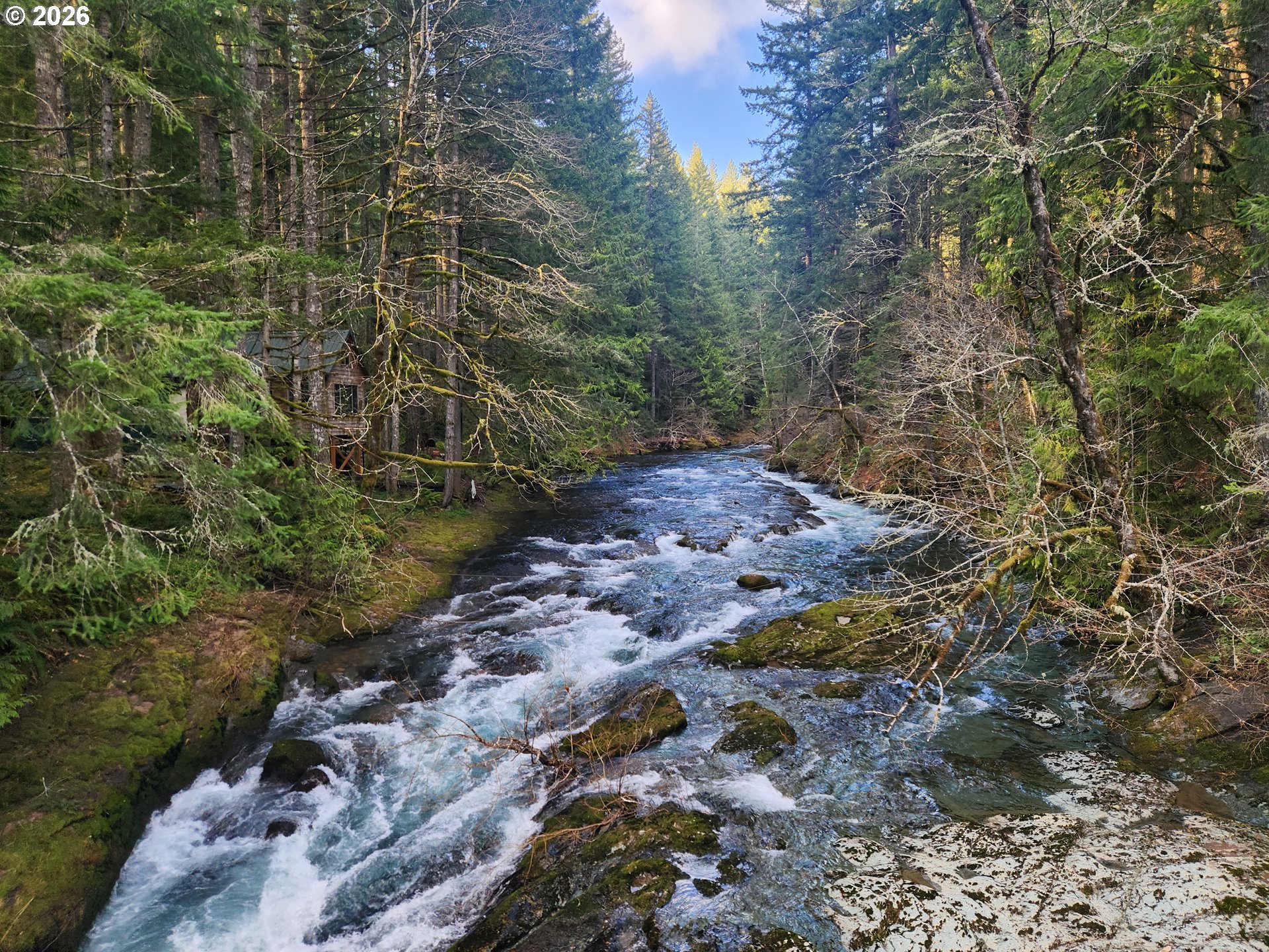 1951 Bear Creek Road Carson, WA 98610 - Photo 16 of 30