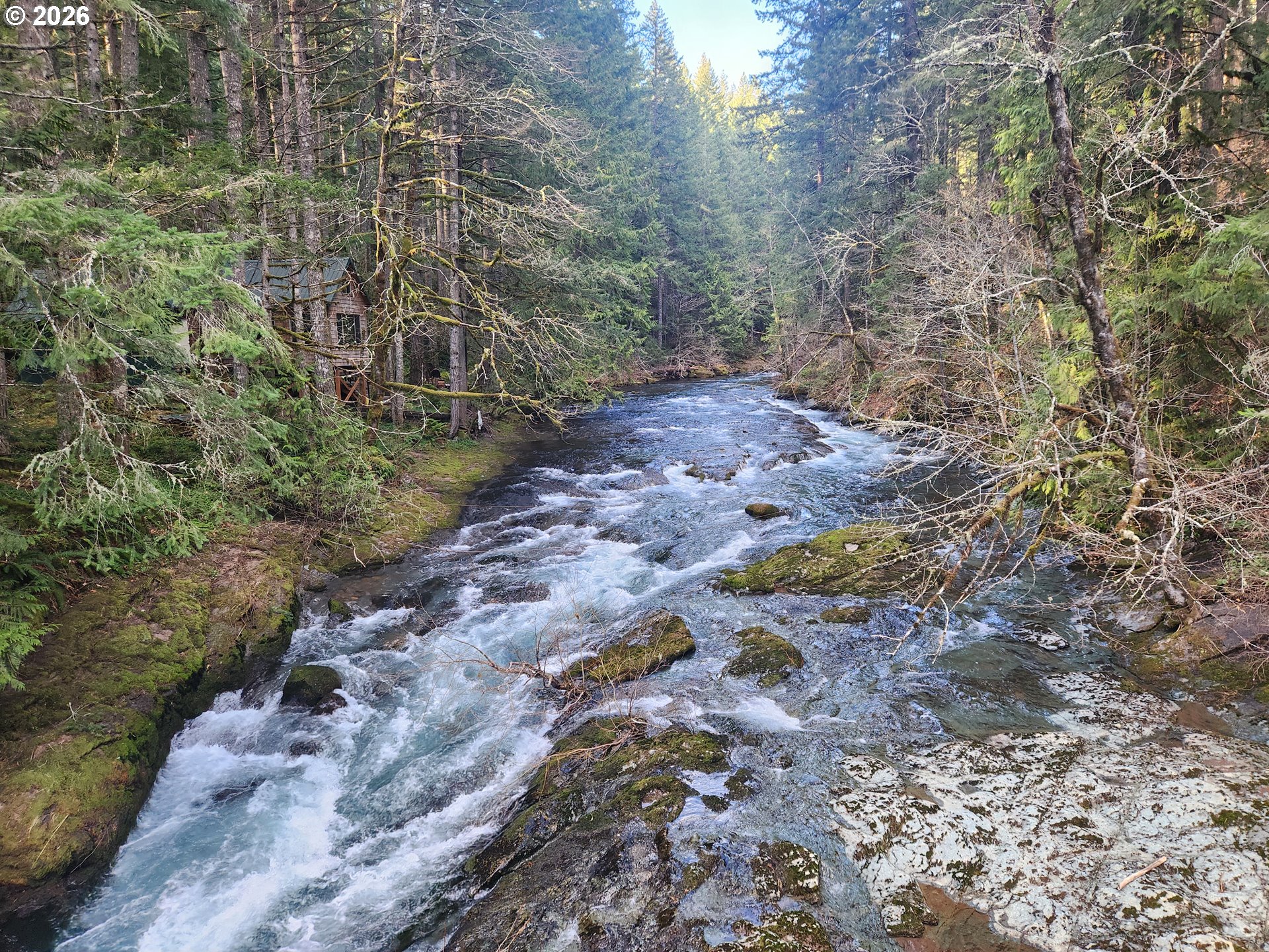 1951 Bear Creek Road Carson, WA 98610 - Photo 17 of 30