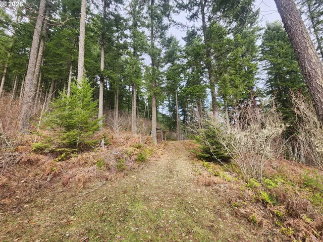 $149,000 | 1951 Bear Creek Road, Carson, WA 98610