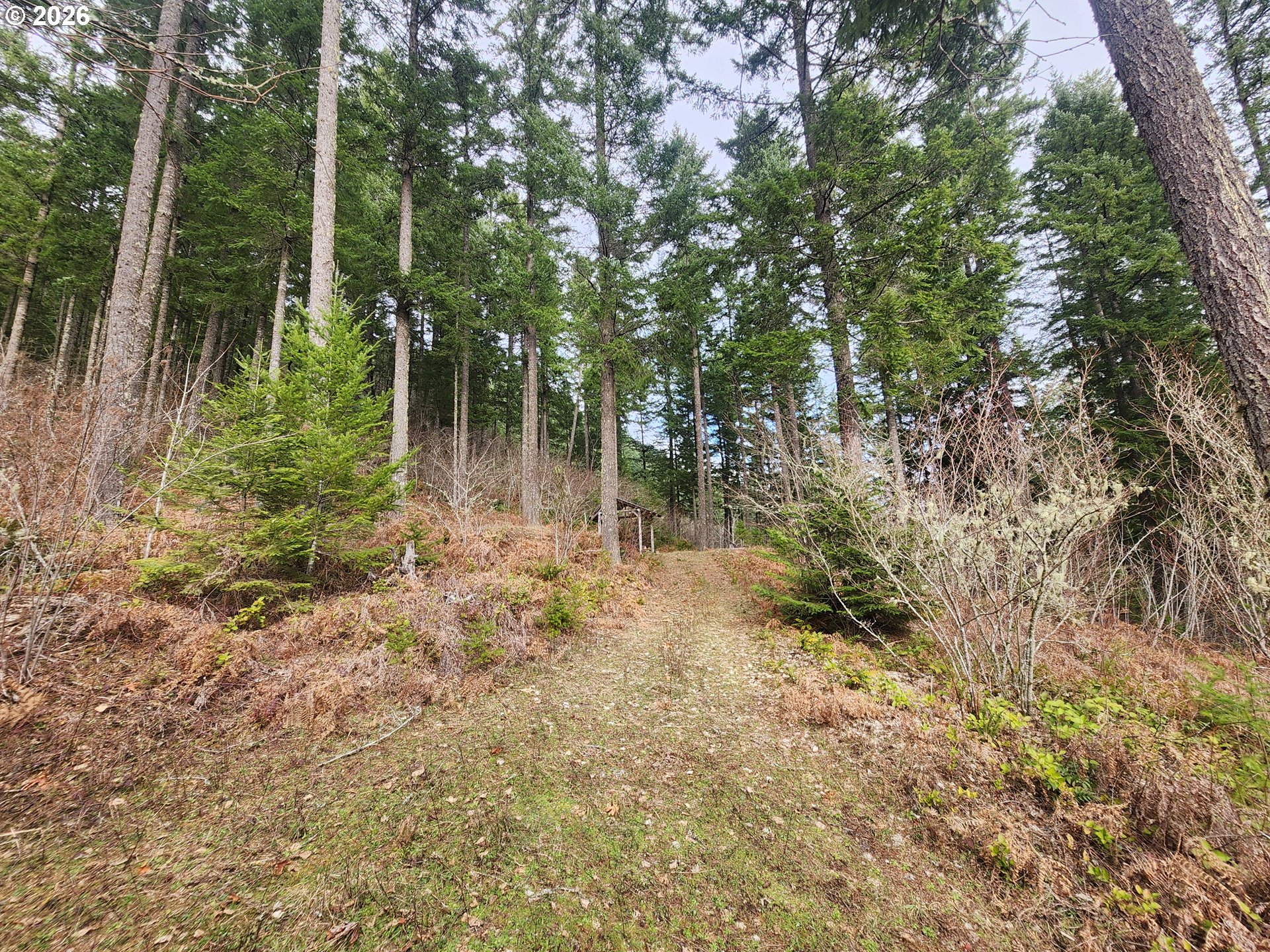 1951 Bear Creek Road Carson, WA 98610 - Photo 19 of 30