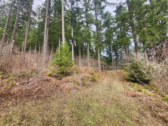 $149,000 | 1951 Bear Creek Road, Carson, WA 98610