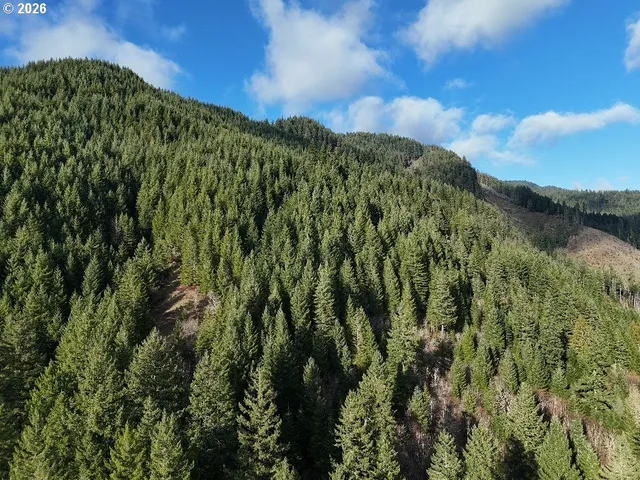 $149,000 | 1951 Bear Creek Road, Carson, WA 98610