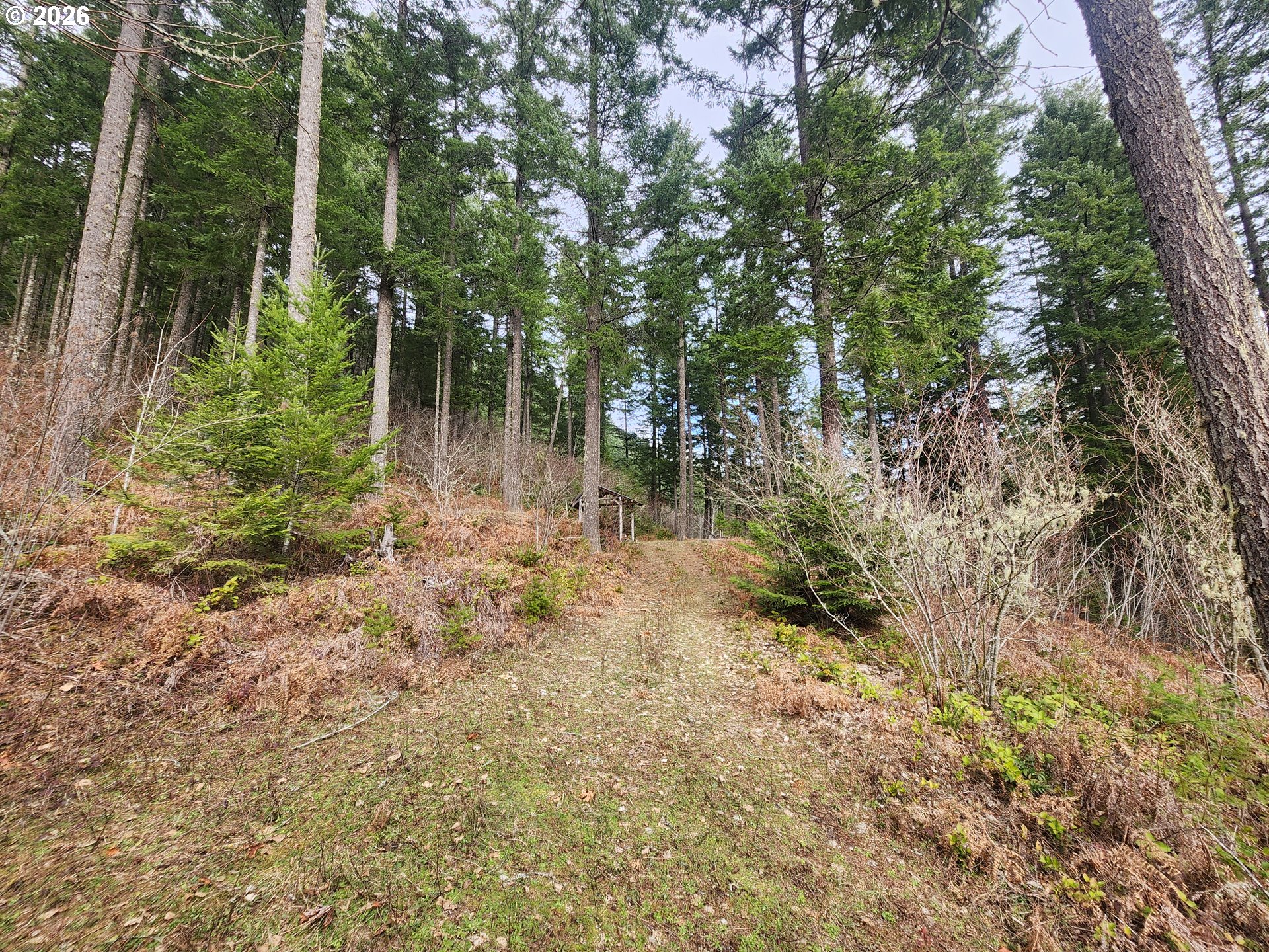 1951 Bear Creek Road Carson, WA 98610 - Photo 22 of 30