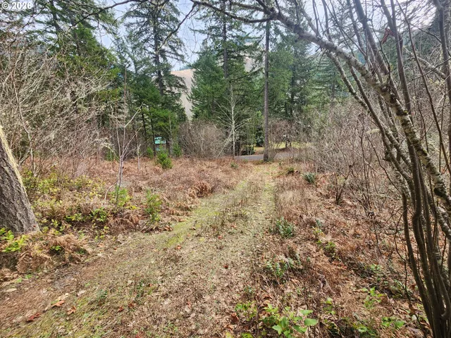 $149,000 | 1951 Bear Creek Road, Carson, WA 98610