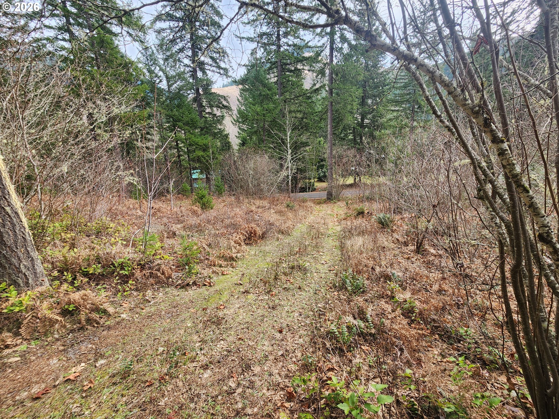 1951 Bear Creek Road Carson, WA 98610 - Photo 23 of 30