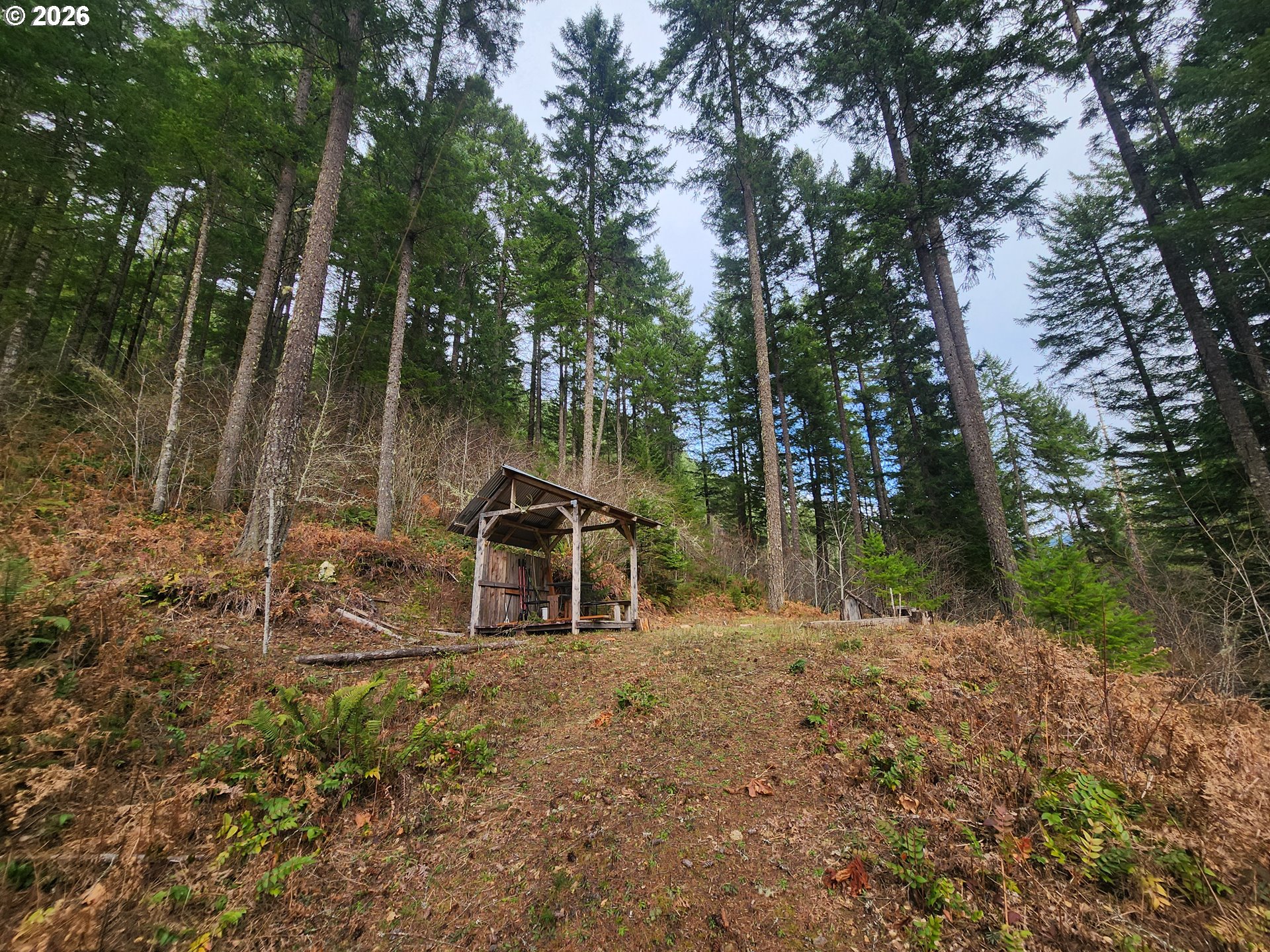 1951 Bear Creek Road Carson, WA 98610 - Photo 24 of 30