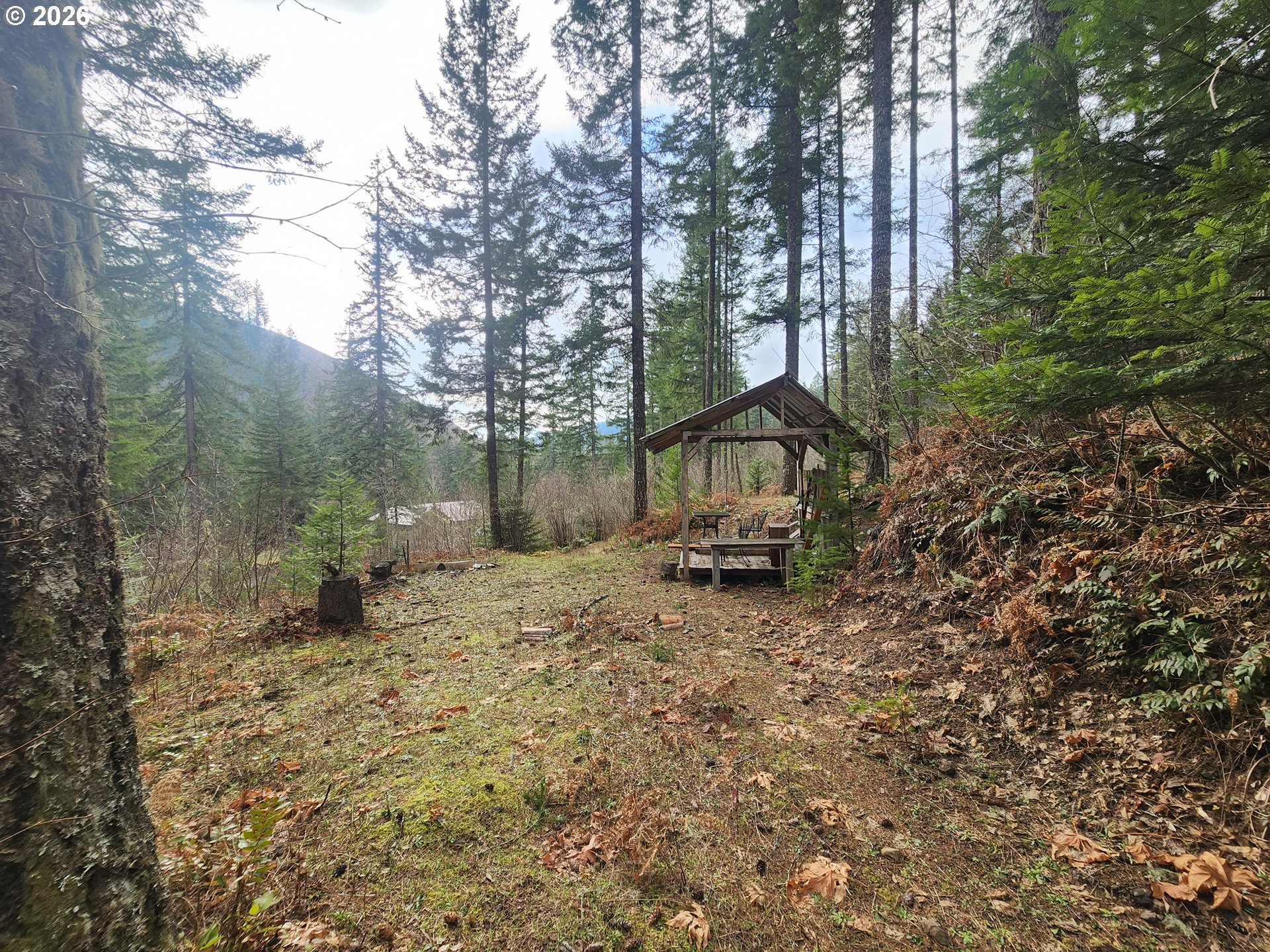 1951 Bear Creek Road Carson, WA 98610 - Photo 27 of 30